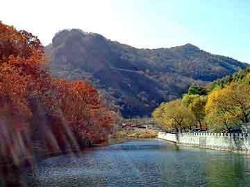 新澳天天开奖资料大全旅游团，竹山黑帽seo